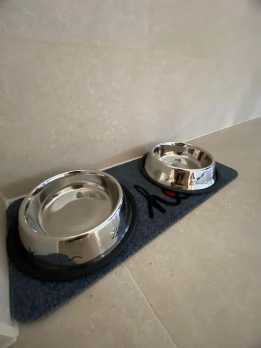 Kronstadt Apartment - Pet Friendly Μπρασόβ Εξωτερικό φωτογραφία